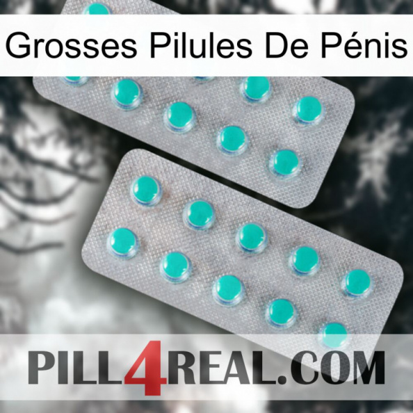 Grosses Pilules De Pénis 29.jpg